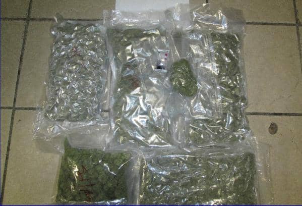 RISP Pot Bust