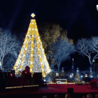 [CREDIT: Thenationaltree.org] The National Christmas Tree for 2015-2016.