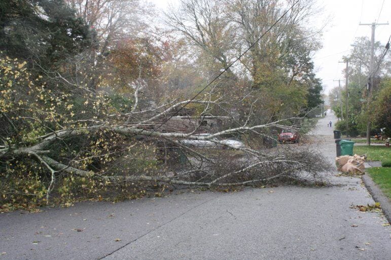 [CREDIT: Beth Hurd] An uprooted tree in front of 321 Tiffany Avenue blocked the street on Monday morning, knocking down Verizon and Cox Cable lines, but was also checked out by National Grid as the homeowner had no electricity. She had heard the tree go over sometime around 2 a.m., and said the City had been out first thing this morning. She had to drive up to Dunkin Donuts for coffee, and was surprised at the damage she saw driving through Conimicut Village. Trash pick up continued, but empty trash containers were blowing into the street.