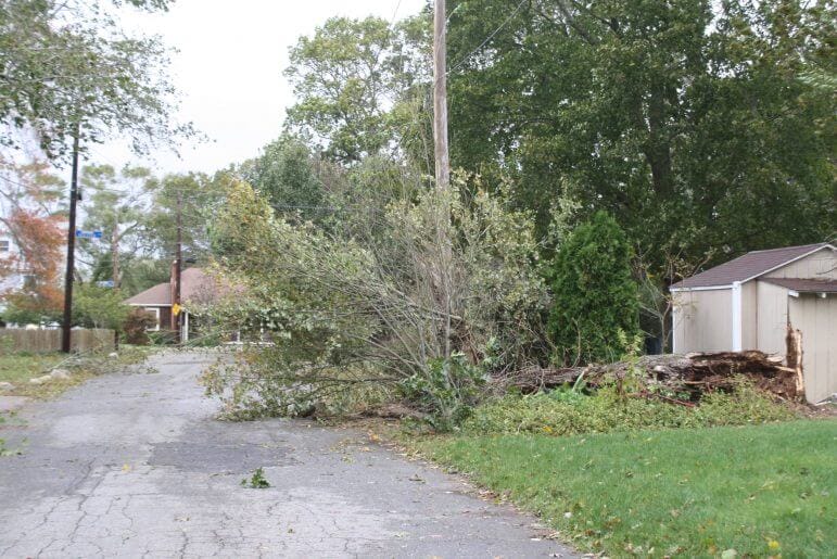 {CREDIT: Beth Hurd] A fallen tree partially blocked Wentworth Avenue, near the corner of Bolster, in the Rivervue section of the City on Monday morning.