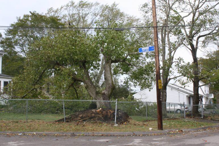 [CREDIT: Beth Hurd] A small street in Warwick Neck, Belle Avenue, was blocked by a fallen tree on Monday morning following a powerful wind and rain storm overnight.