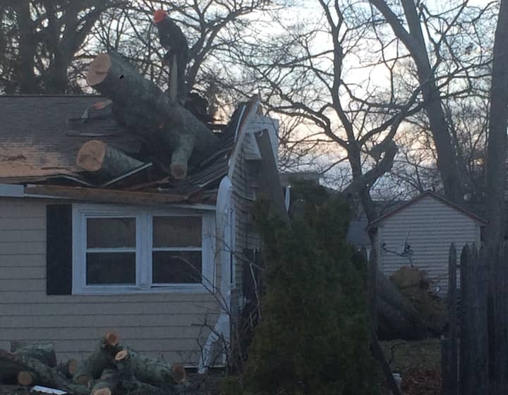 [CREDIT: Rob Borkowski] A downed tree struck the roof above a New Britain Street home's bedroom Friday. On Saturday, Northeastern Tree Removal lived up to its name.