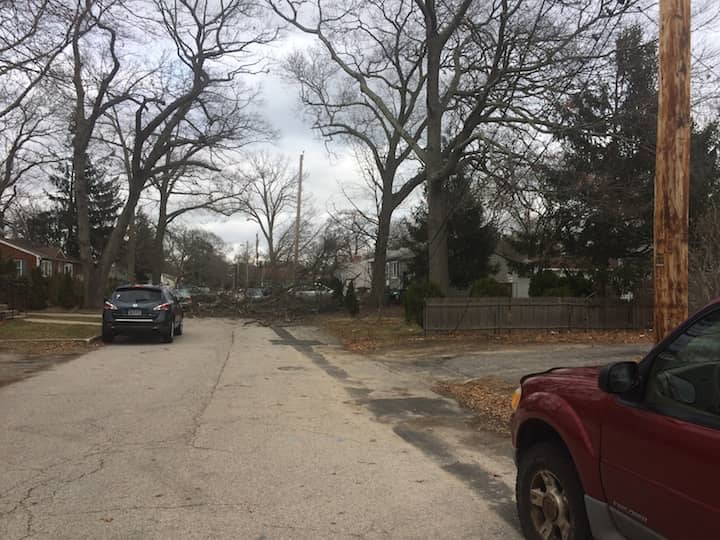 [CREDIT: Rob Borkowski] A downed tree blocked Merle Street Saturday. 