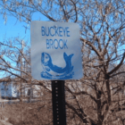 {CREDIT: Buckeye Brook Coalition] The Buckeye Brook Coalition warns of a recent sewer discharge into the watershed from a broken sewer pipe Aug. 27.