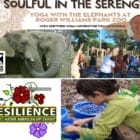 There's lots going on in the Warwick Weekend roundup.