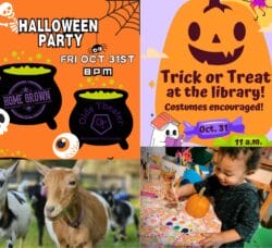[Credit: WP Composite] This week’s Coventry Weekend Events in Coventry, RI include a Halloween party at OTD and Trick-or-Treat at Coventry Public Library, along with the usual pumpkin painting and goat events.