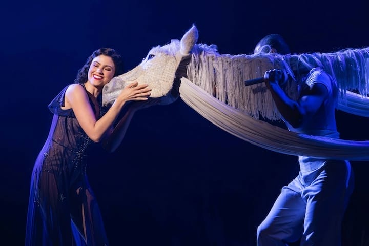 PPAC’s ‘Water for Elephants’ Dazzles