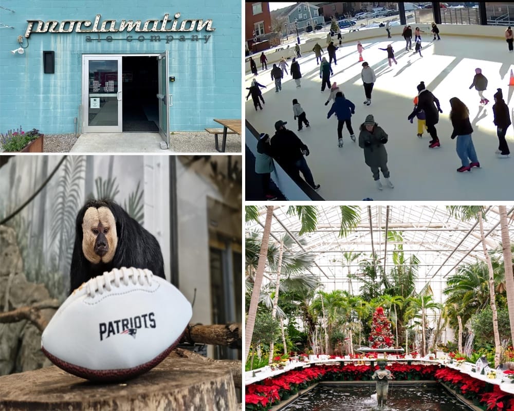 Warwick Weekend Events Feb. 6: Free Movie, Skate